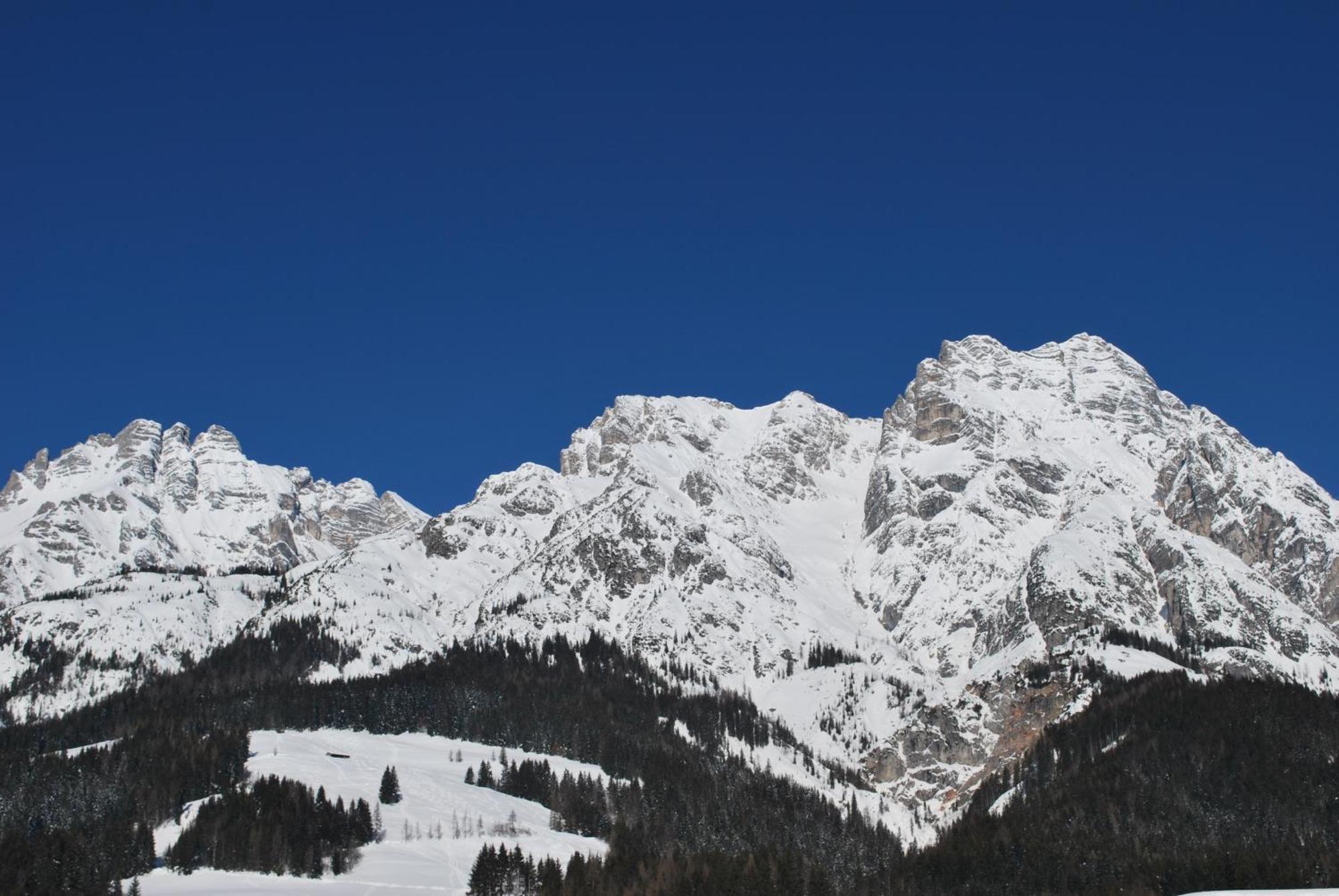 Appartement Haus Pichler Leogang Zewnętrze zdjęcie