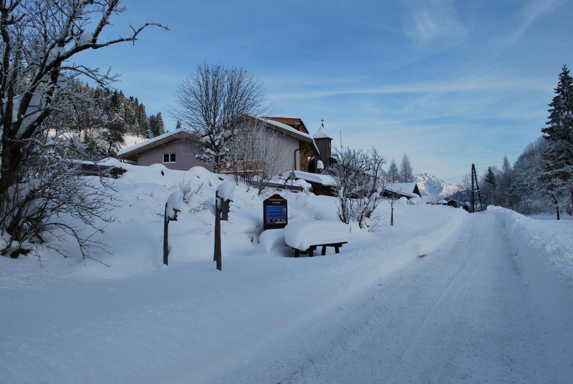 Appartement Haus Pichler Leogang Zewnętrze zdjęcie