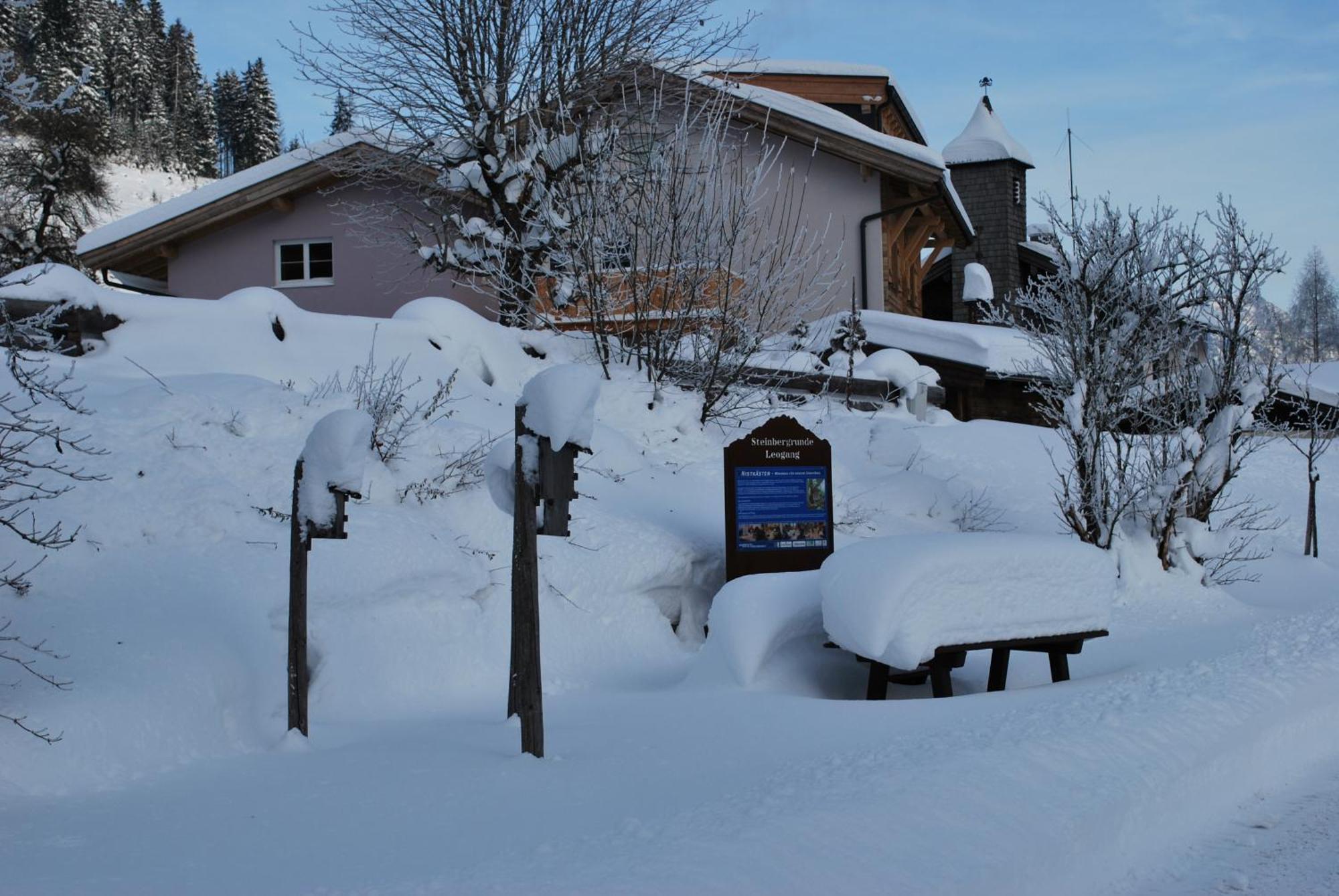 Appartement Haus Pichler Leogang Zewnętrze zdjęcie