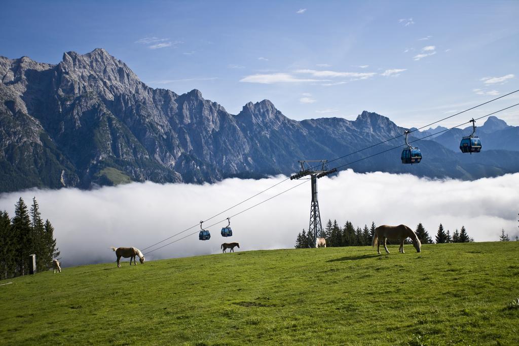 Appartement Haus Pichler Leogang Zewnętrze zdjęcie